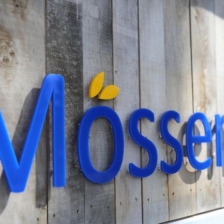 Hotel Moessems Denekamp Exteriér fotografie